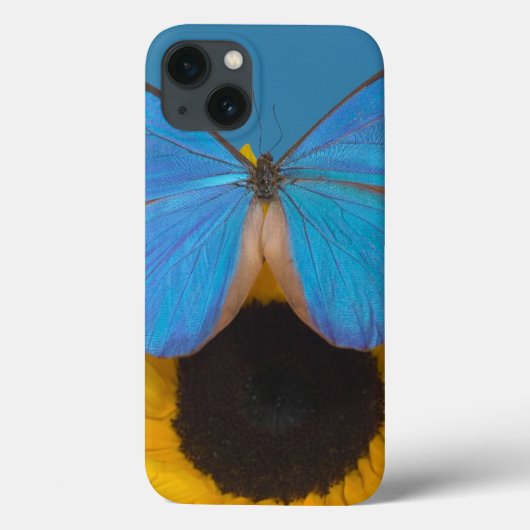 Coques Case-Mate iPhone Papillon sur Tournesol (Verso)