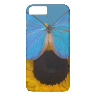 Etui iPhone Case-Mate Papillon sur tournesol