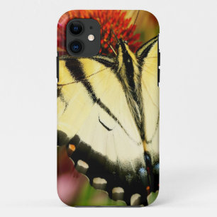 Etui iPhone Case-Mate Papillon Swallowtail