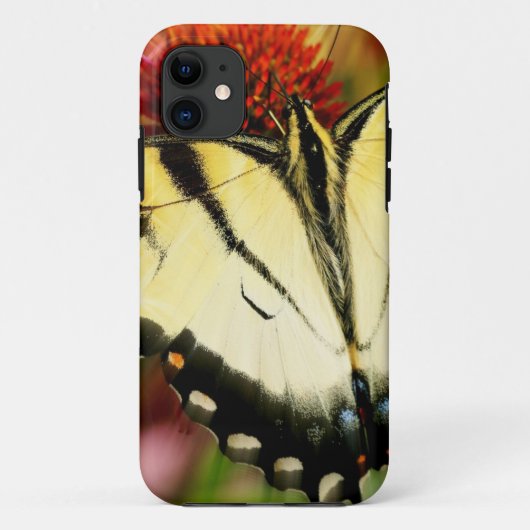 Coques Case-Mate iPhone Papillon Swallowtail (Dos)