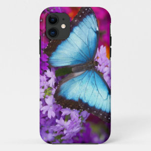 Coques Pour iPhone Papillon tropical de Sammamish Washington