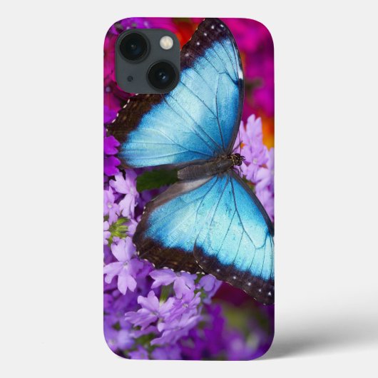 Coques Case-Mate iPhone Papillon tropical Sammamish Washington 7 (Verso)