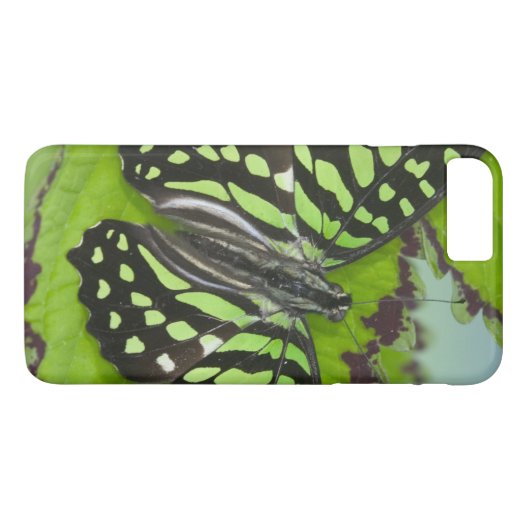 Coques Case-Mate iPhone Papillon vert (Dos (Horizontal))