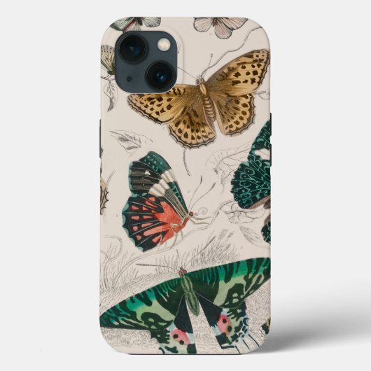 Coques Case-Mate iPhone Papillons Collection Antique Papillons (Verso)