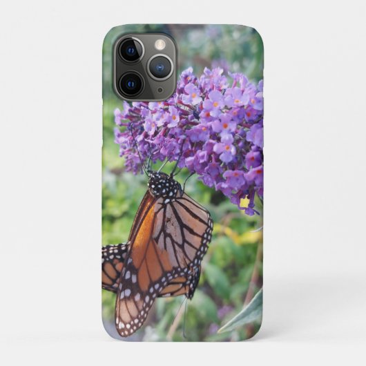 Coques Case-Mate iPhone Papillons sur Flower (Dos)