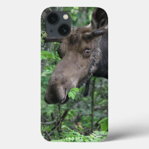 Coques Pour iPhone Parc animalier nordique de l'orignal Paix Espoir A
