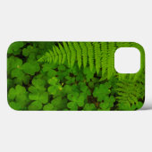 Coques Case-Mate iPhone Parc d'État des Redwoods de Humboldt (Verso (horizontal))
