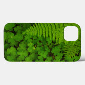 Coques Case-Mate iPhone Parc d'État des Redwoods de Humboldt (Verso (horizontal))
