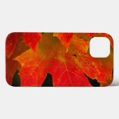 Coques Case-Mate iPhone Parc d'état d'Itasca, automne 2 (Verso (horizontal))