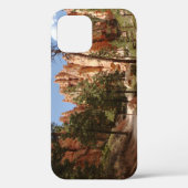 Coques Case-Mate iPhone Parc national Bryce Canyon Trail (Verso)