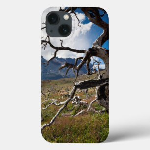 iPhone 13 Coque Parc national de Torres del Paine, arbres endommag