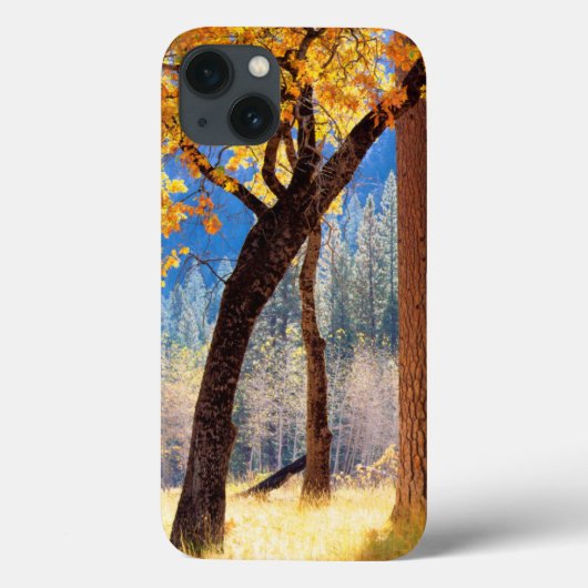Coques Case-Mate iPhone Parc national de Yosemite (Verso)