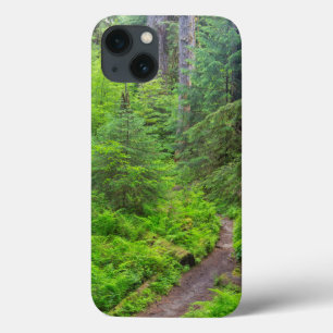 iPhone 13 Coque Parc national Olympique, sentier forestier