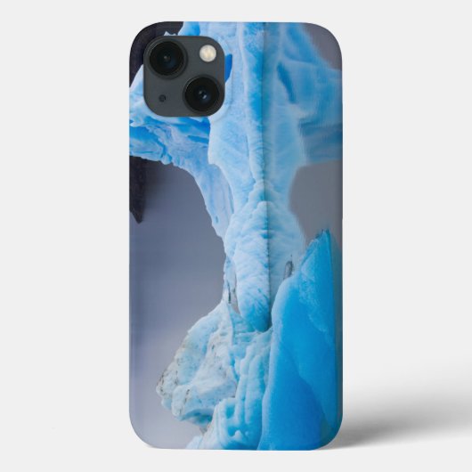 Coques Case-Mate iPhone Parc national Torres del Paine (Verso)