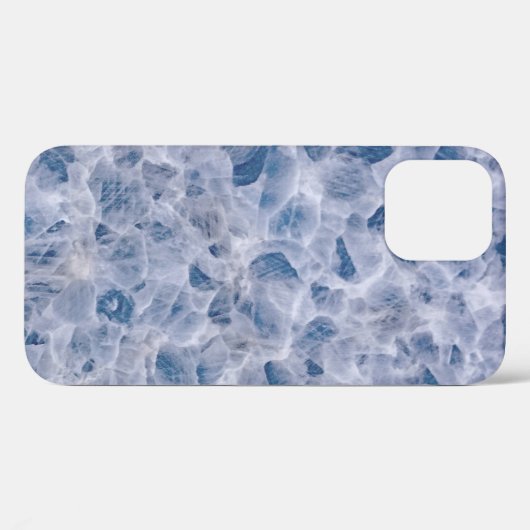 Coques Case-Mate iPhone Parcelle web Spider (Verso (horizontal))