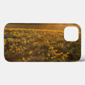 Coques Case-Mate iPhone Parterre de fleurs sauvages de Balsamroot à feuill (Verso (horizontal))