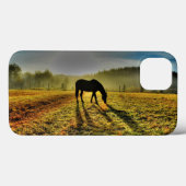 Coques Case-Mate iPhone Pâturage à cheval au lever du soleil dans le champ (Verso (horizontal))