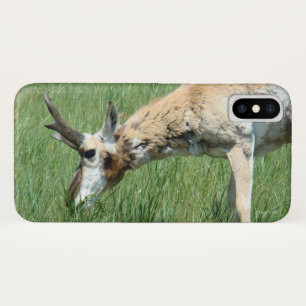 Coque iPhone X Pâturage d'antilope à pronghorn A11