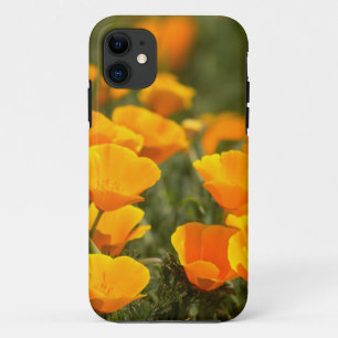Etui iPhone Case-Mate Pavots de Californie, Montana de Oro State Park