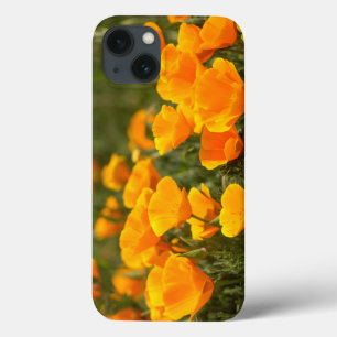 iPhone 13 Case Pavots de Californie, Parc d'État Montana de Oro