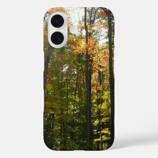 Coques Case-Mate iPhone Paysage d'automne de forêt ensoleillée (Verso)