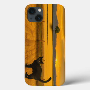 Case-Mate iPhone Case Paysage de chats noirs