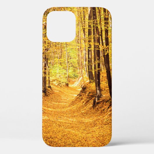 Coques Case-Mate iPhone Paysage forestier d'automne (Verso)