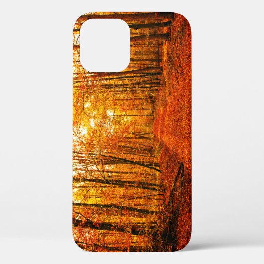 Coques Case-Mate iPhone Paysage pittoresque du Chemin d'Automne (Verso)