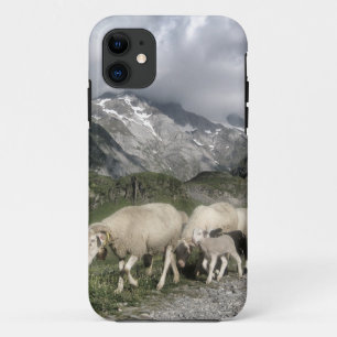 Etui iPhone Case-Mate paysage pyrénéen