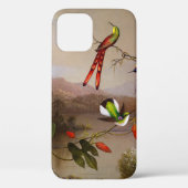 Coques Case-Mate iPhone Paysage tropical avec dix colibris (Verso)