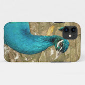 Coques Case-Mate iPhone Peacock Belle photographie nature (Dos (Horizontal))