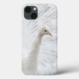 Case-Mate iPhone Case Peacock blanc belles plumes