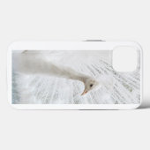 Coques Case-Mate iPhone Peacock blanc belles plumes (Verso (horizontal))