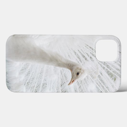 Coques Case-Mate iPhone Peacock blanc belles plumes (Verso (horizontal))