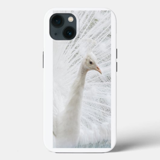 Coques Case-Mate iPhone Peacock blanc belles plumes (Verso)