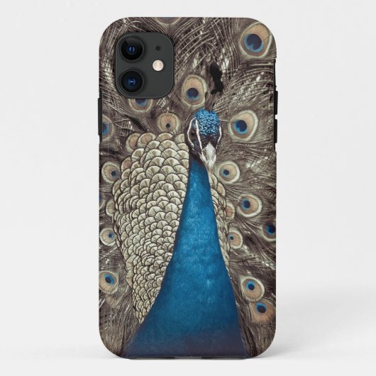 Coques Case-Mate iPhone Peacock bleu antique (Dos)