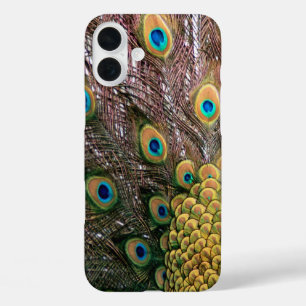 Coques iPhone 16 Plus Peacock Feathers Emerald Green et Gold