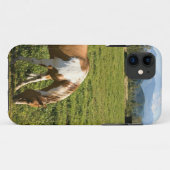 Coques Case-Mate iPhone Peindre l'ourse dans les montagnes (Dos (Horizontal))