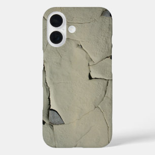 Coques iPhone 16 Peinture à écorce grondée
