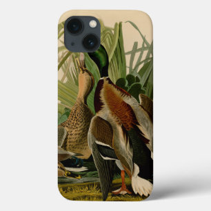 iPhone 13 Case Peinture d'oiseaux de Mallard Duck Audubon