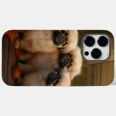 Coques Case-Mate iPhone Pekingese Chiot Automne Citrouille délice (Verso (horizontal))