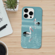 Pelican Couple Paddle sur Calm Aqua Water