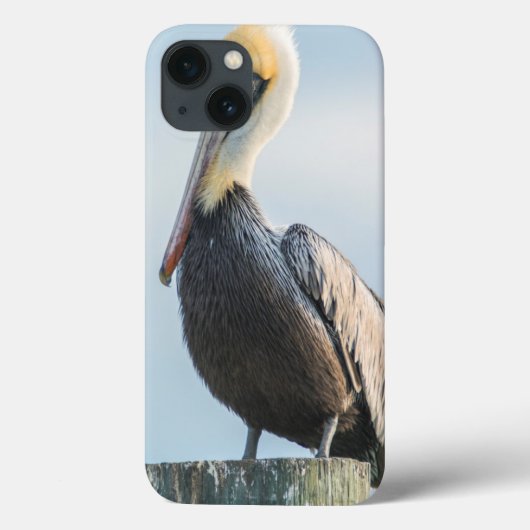 Coques Case-Mate iPhone Pélican perché sur un pylône (Verso)