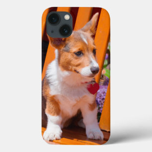 Coques Pour iPhone Pembroke Welsh Corgi puppy sitting in park bench