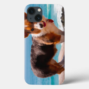 iPhone 13 Case Pembroke Welsh Corgi puppy standing on table