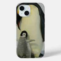 Penguin regardant le poussin