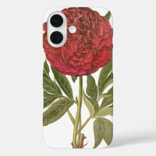 Coques iPhone 16 Peonies vintages, Fleurs de pivoines par Basilius