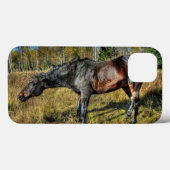 Coques Case-Mate iPhone Percheron à épines noires secouant l'eau (Verso (horizontal))
