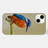 Coques Case-Mate iPhone Perching Kingfisher (Verso (horizontal))
