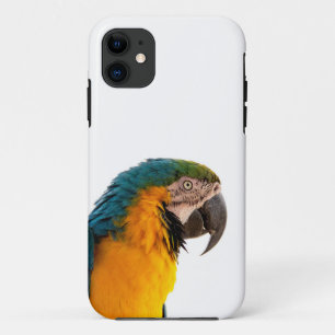 Case-Mate iPhone Case Perroquet